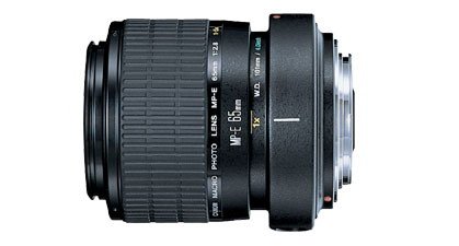 Canon MP-E 65mm f2.8 1-5x Macro Photo.jpg